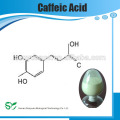 Fonte do fornecedor do fabricante Extracto da planta ácido Caffeic puro